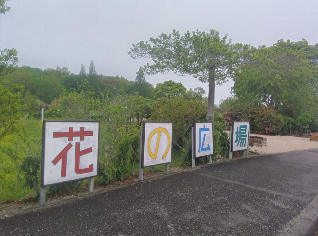 花の広場」ネモフィラ畑 | 洗心福祉会